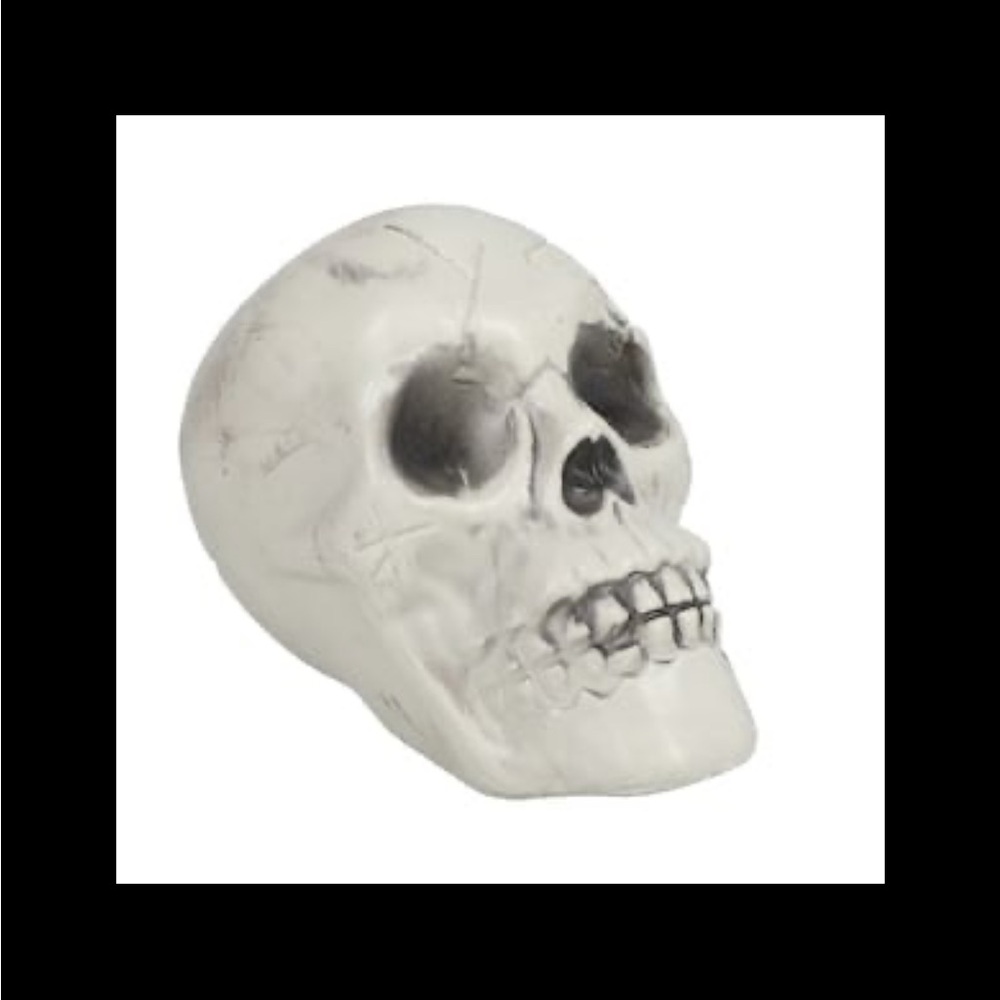 White Skull Decororation